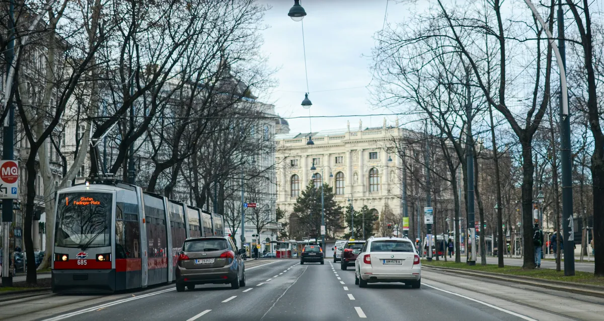 A tram and ordinary traffic on a tree-lined city street